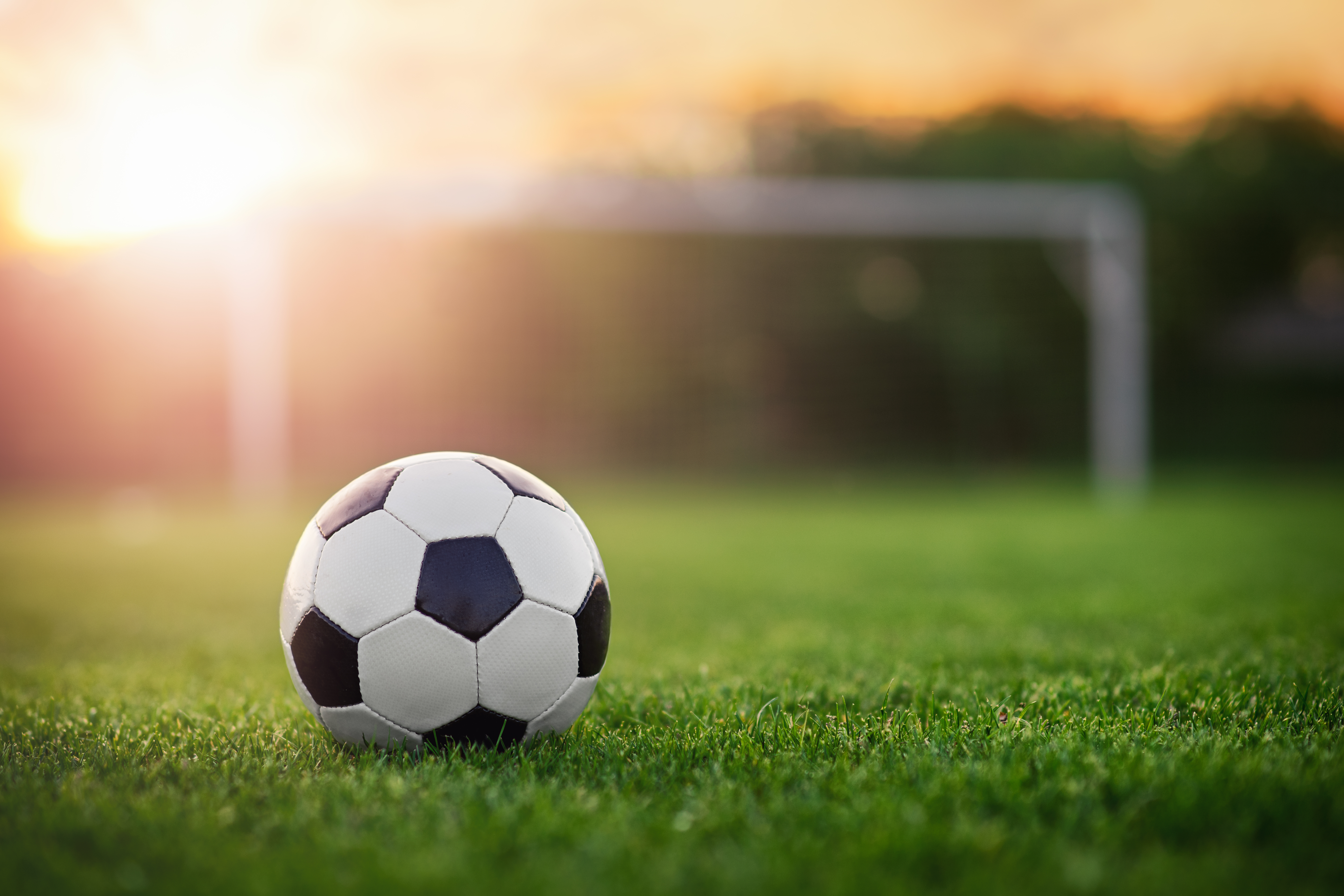 picture of a football on a pitch